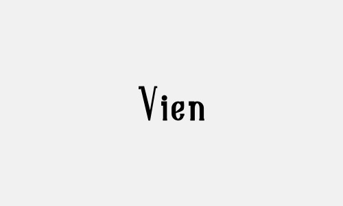 Chữ ký tên Vien