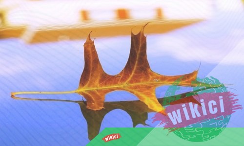 Vô thường là gì? Phải chăng vô thường là chân lý tuyệt đối?-3 Vô thường là gì? Phải chăng vô thường là chân lý tuyệt đối?-3
