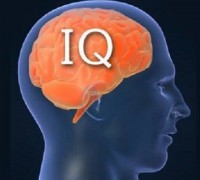 Cách nào để bạn có thể tăng chỉ số IQ của mình nhanh nhất