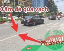 Các loại vạch kẽ đường và điều cần biết khi tham gia giao thông