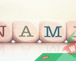 Tổng hợp các câu hỏi Name là gì đầy đủ nhất 
